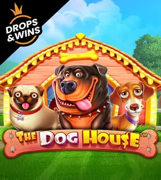 Слот The Dog House в Слотокинг казино